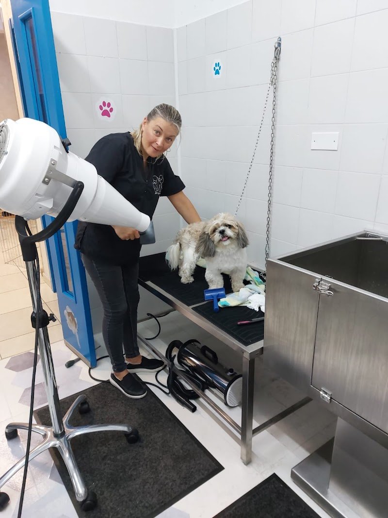 Benessere Pet's - Foto 4