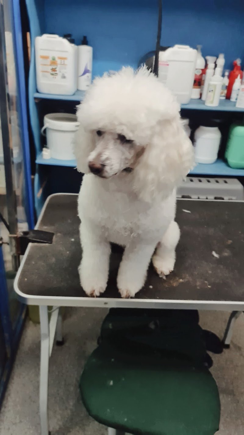 Best Friends - Foto 1