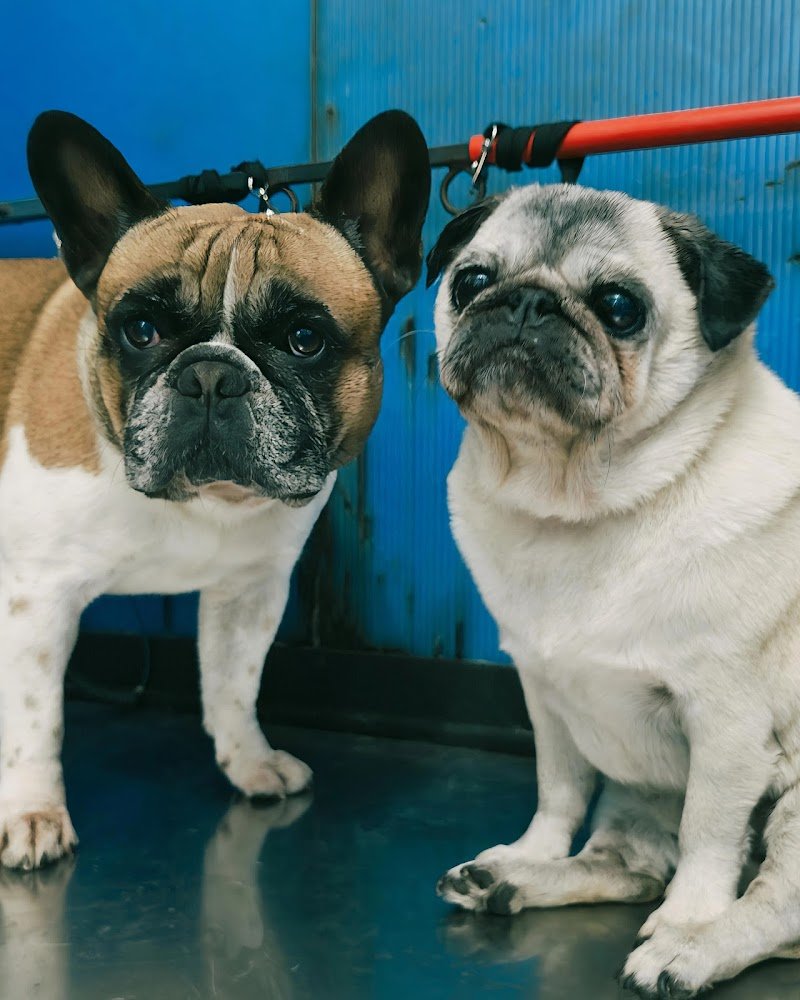 Best Friends - Foto 2