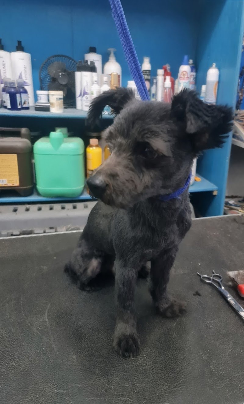 Best Friends - Foto 3