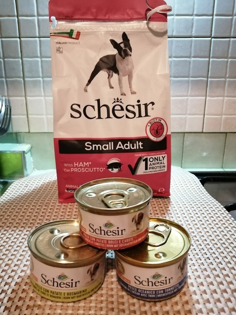 Best Friends - Foto 5