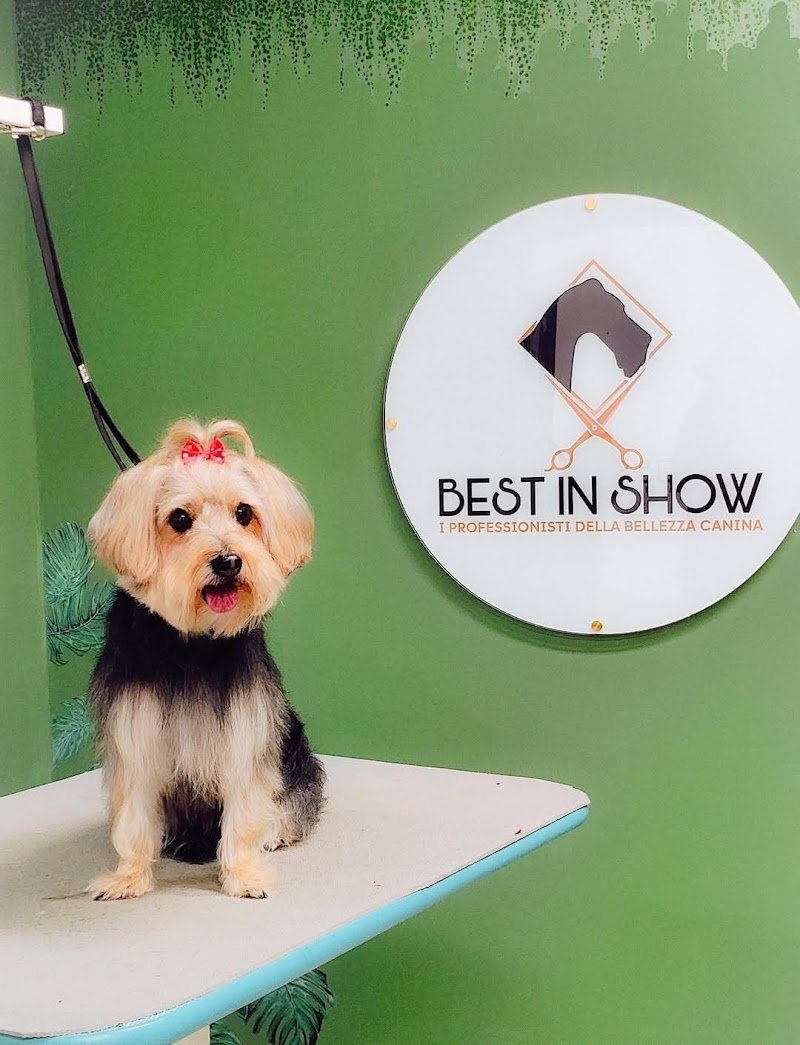 Best In Show - Foto 2