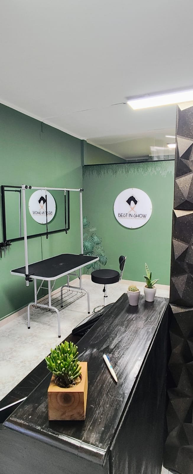 Best In Show - Foto 3