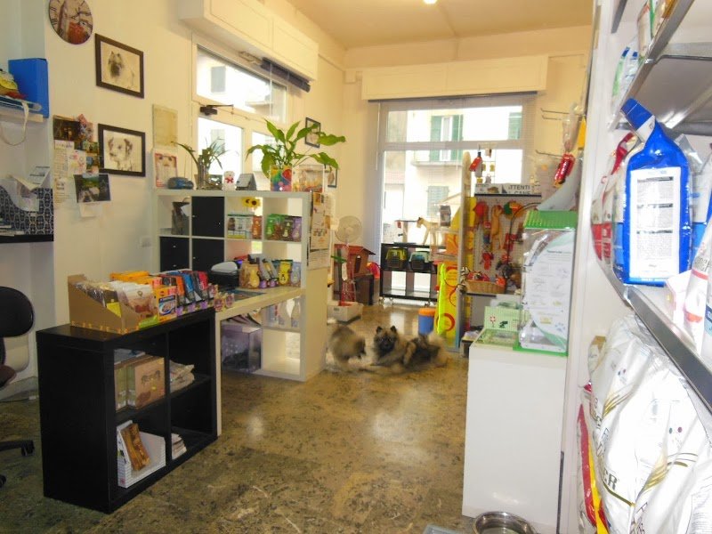 BEST OF BREED - Foto 2