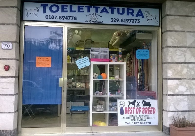 BEST OF BREED - Foto 4