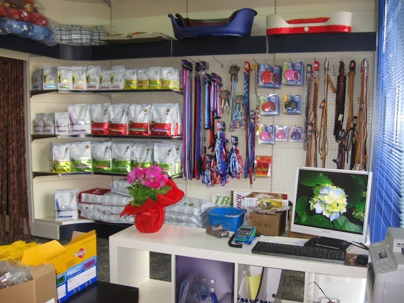 BEST OF BREED - Foto 6