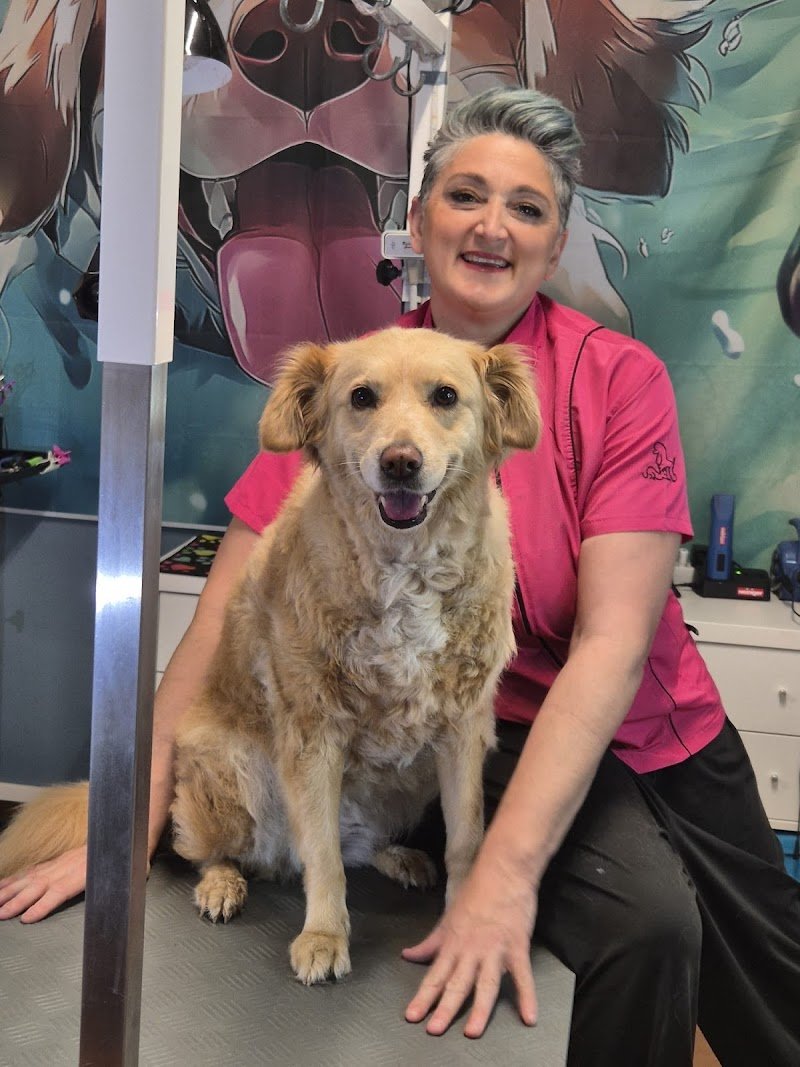 Betty Bau – Salone di toelettatura per cani, gatti e conigli a Vezia - Foto 1