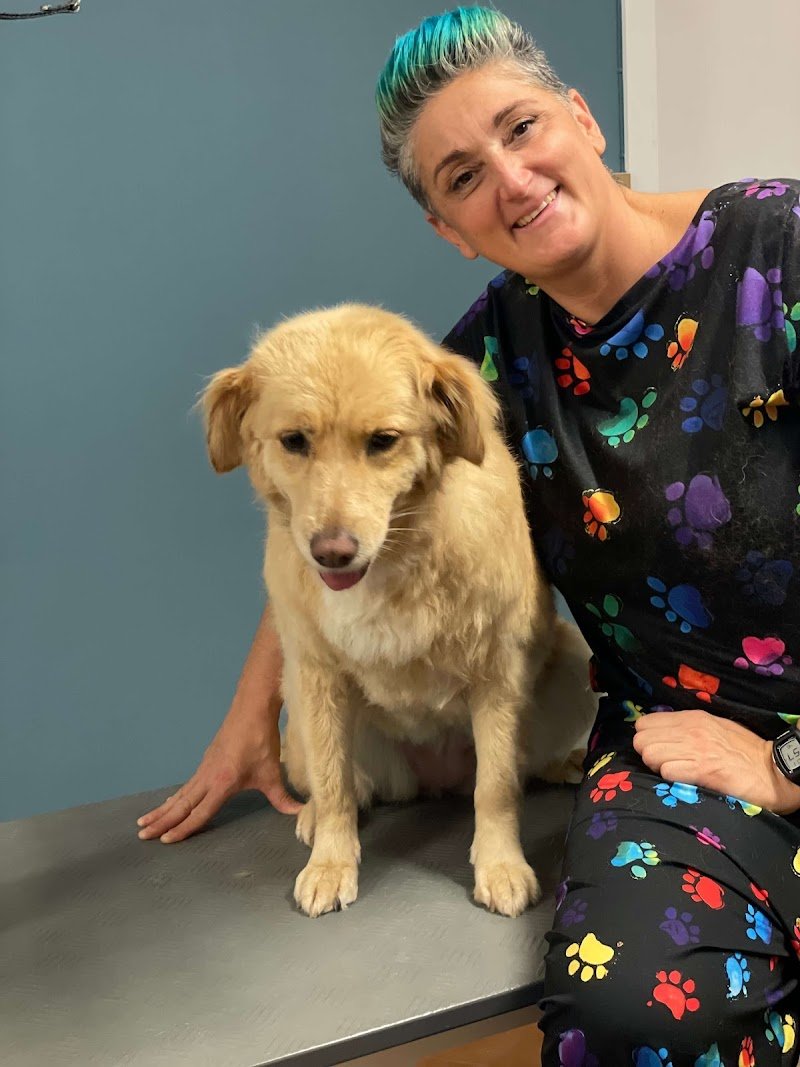 Betty Bau – Salone di toelettatura per cani, gatti e conigli a Vezia - Foto 3