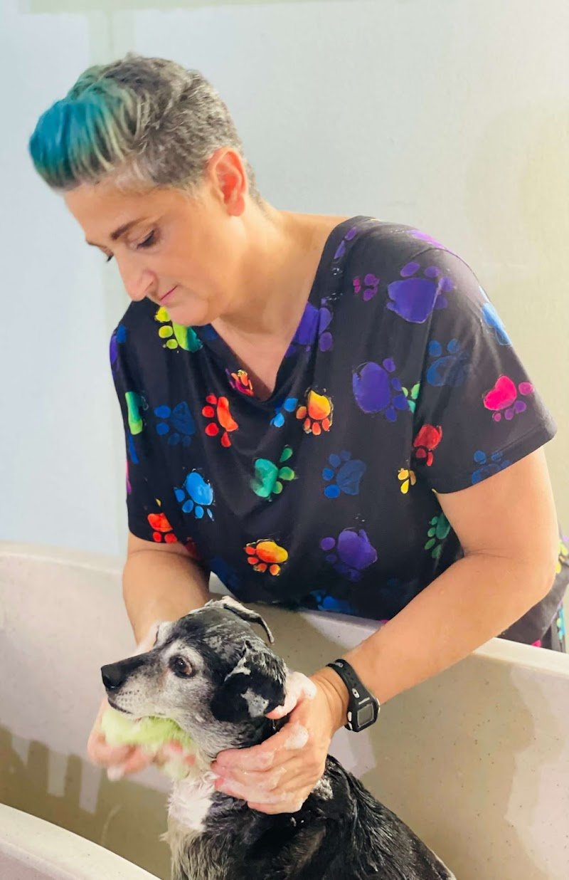 Betty Bau – Salone di toelettatura per cani, gatti e conigli a Vezia - Foto 6