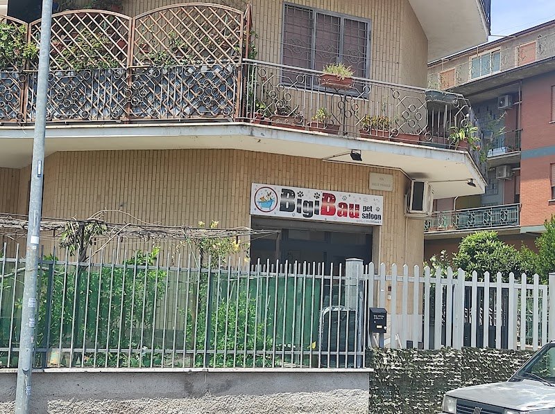 Bigibau Pet saloon - Foto 1