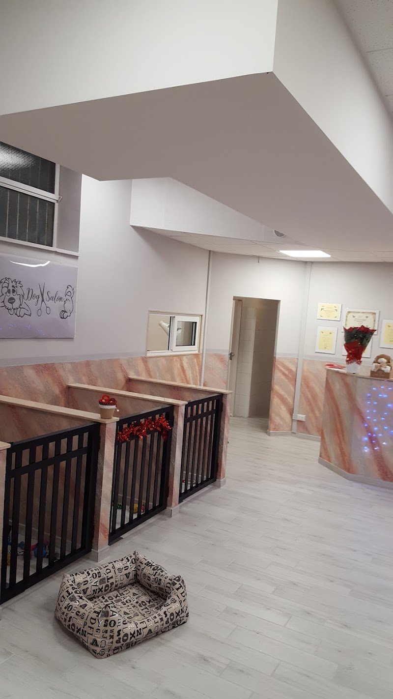 Bigibau Pet saloon - Foto 3