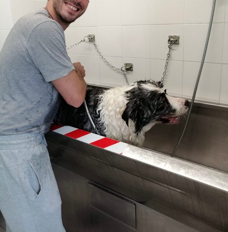 Bloo Lavami Tu (lavaggio e asciugatura SELF SERVICE) - Foto 2