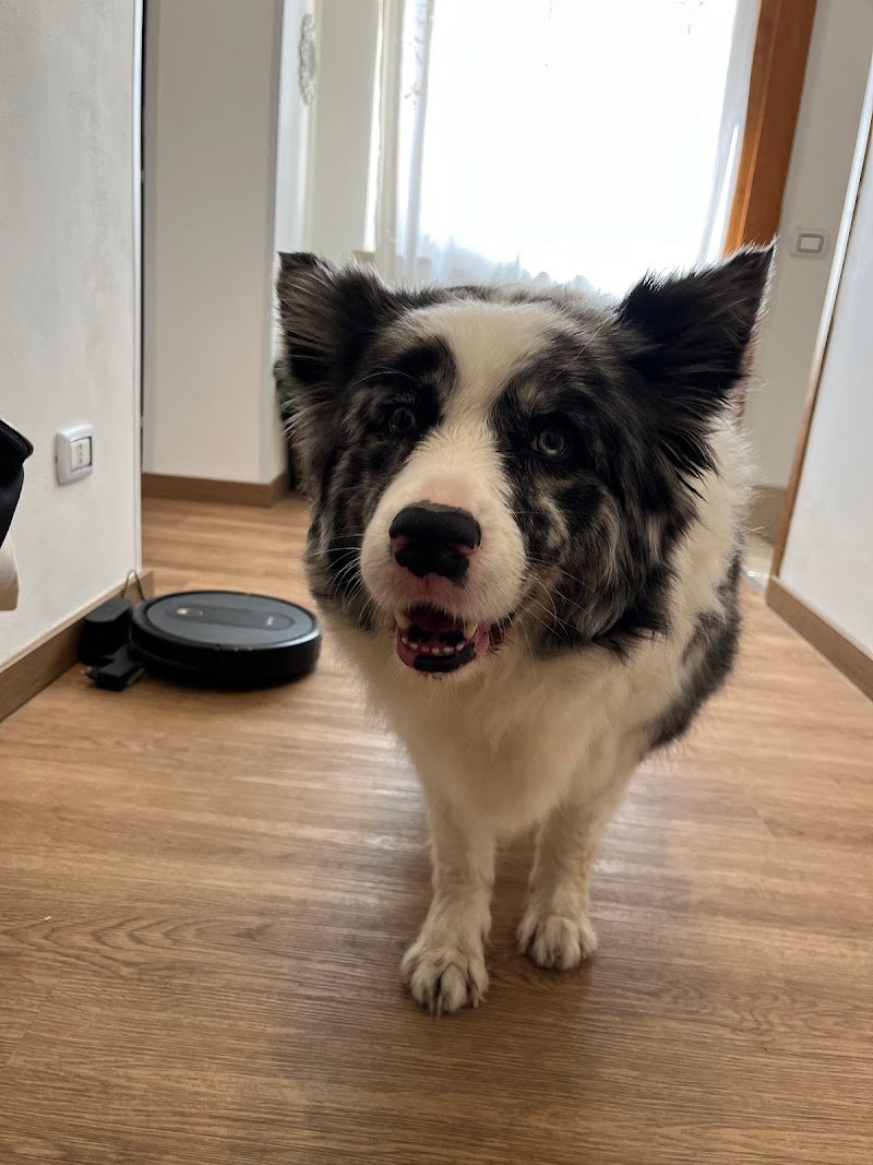 Bloo Lavami Tu (lavaggio e asciugatura SELF SERVICE) - Foto 3