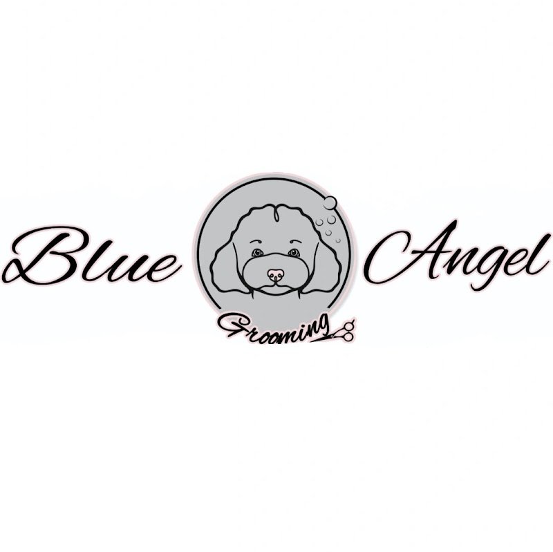 BLUE ANGEL GROOMING, Toelettatura per cani. - Foto 2