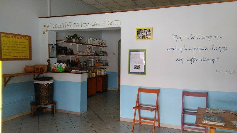 Boba Wash di Balucani Paola - Foto 3