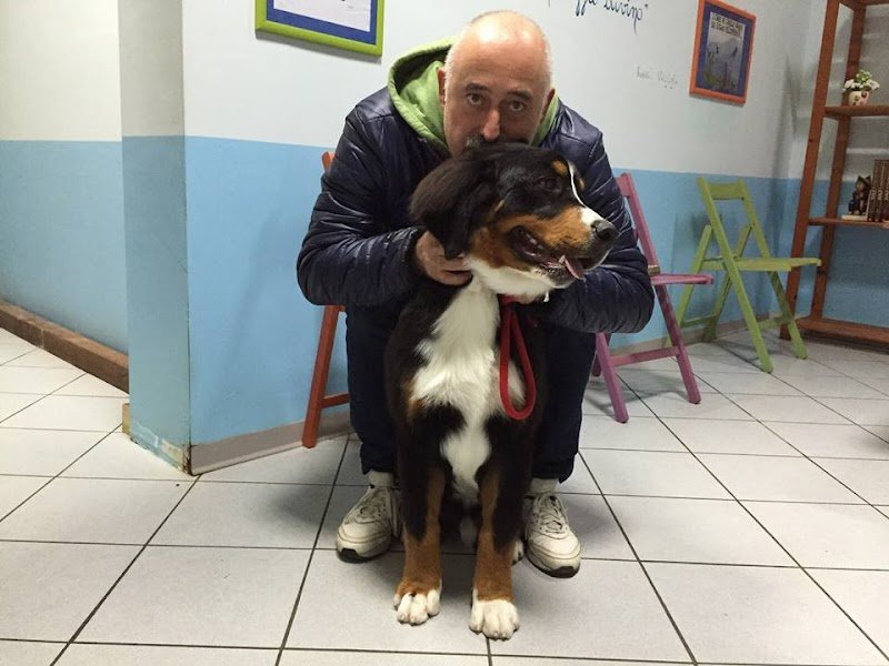 Boba Wash di Balucani Paola - Foto 4