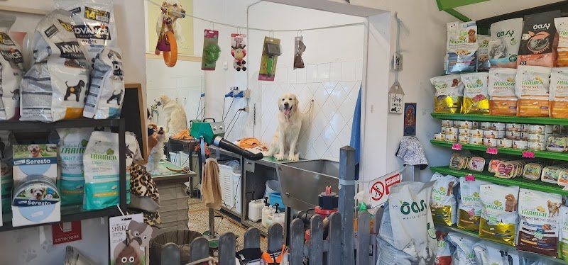 Bolle a 4 Zampe Romito Magra - Foto 2