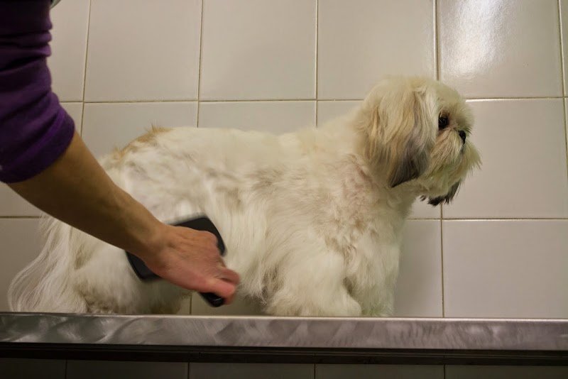 Bolle di Sapone - Foto 2