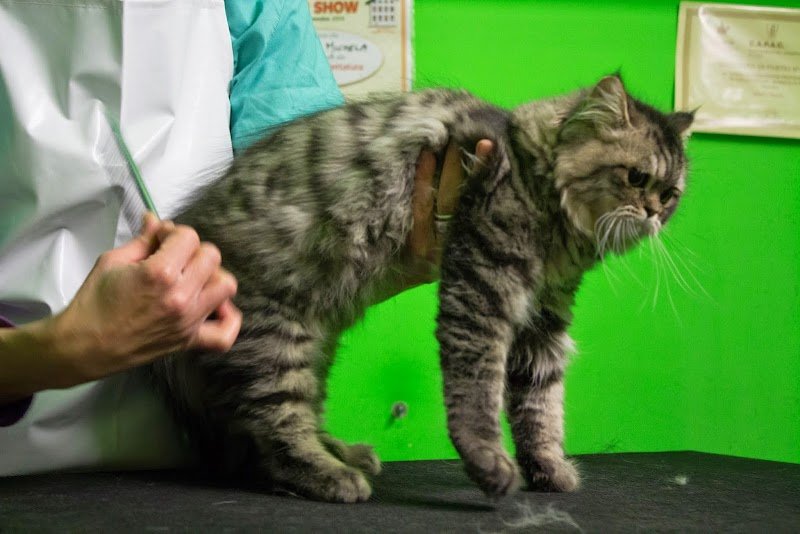 Bolle di Sapone - Foto 5