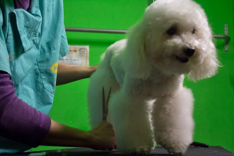 Bolle di Sapone - Foto 6