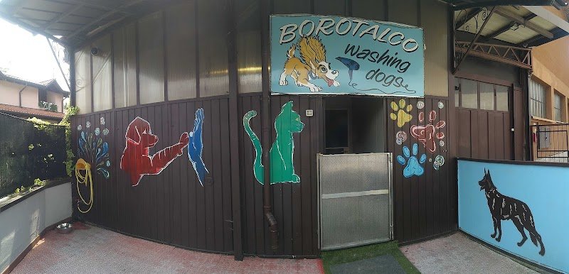 Borotalco Washing Dogs - Foto 2