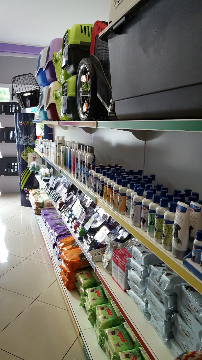 Braccobaldo Store - Bracco Zoo - Foto 4