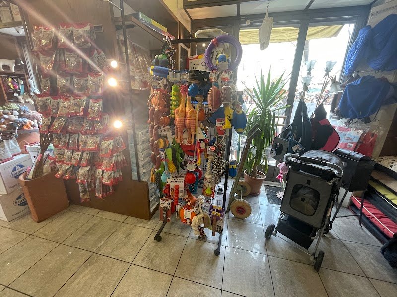 Brilli Pet Boutique - Toelettatura Alimenti Ed Accessori Animali - Foto 5