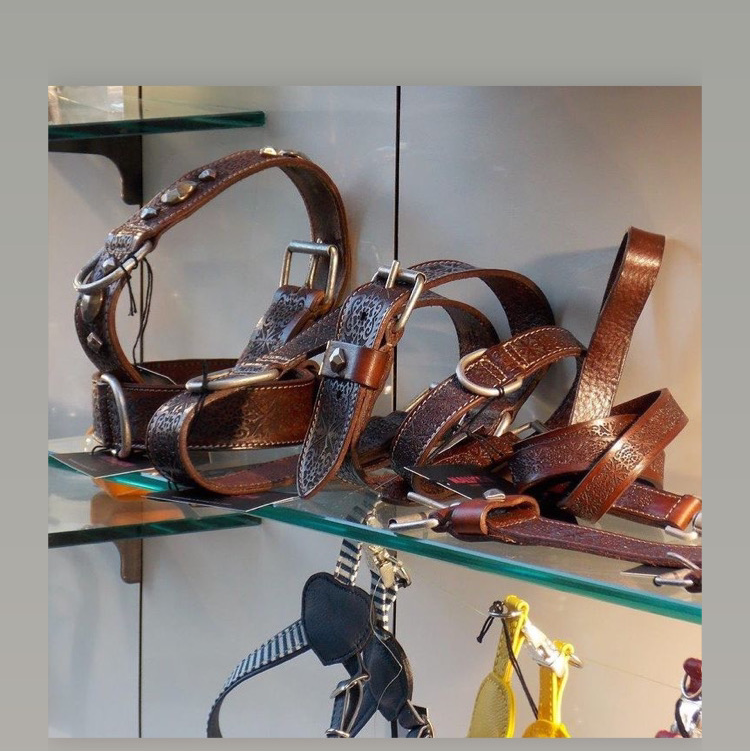 Brilli Pet Boutique - Toelettatura Alimenti Ed Accessori Animali - Foto 6