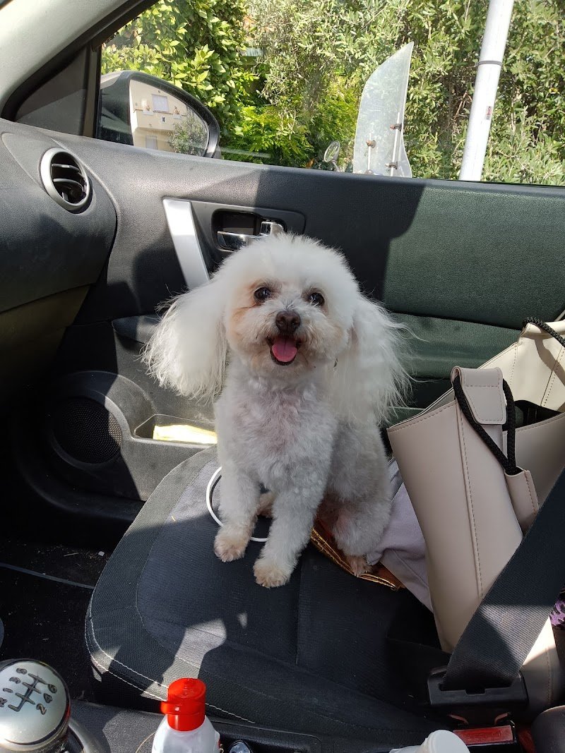 Bubusetter 2.0 - Foto 6