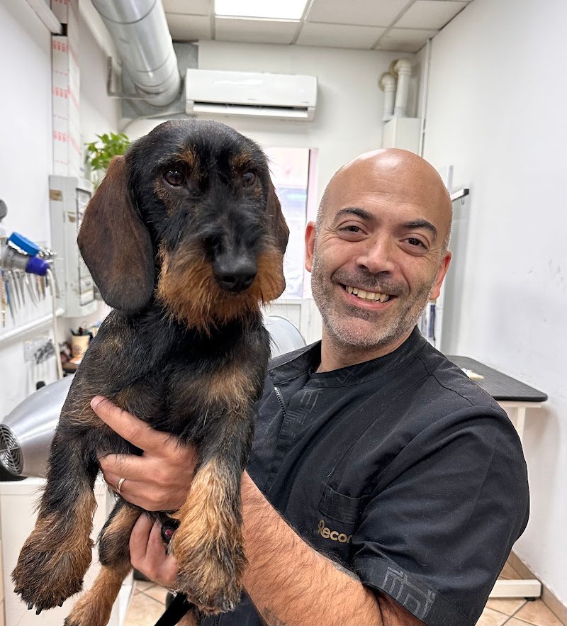 Bulli Store Di Agosta Fabio - Foto 2