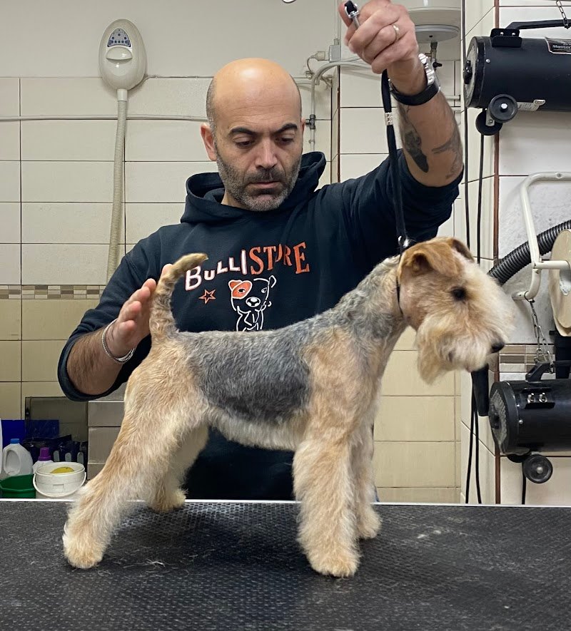 Bulli Store Di Agosta Fabio - Foto 6