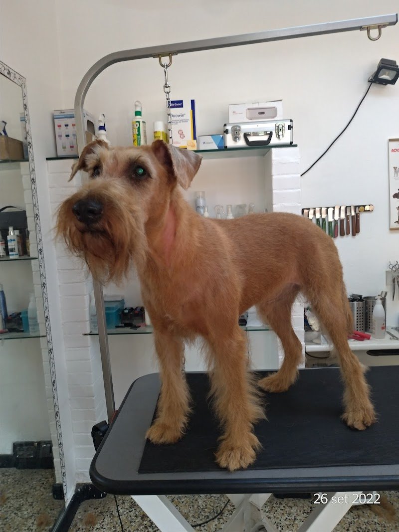 Bye bye pelo - Foto 2