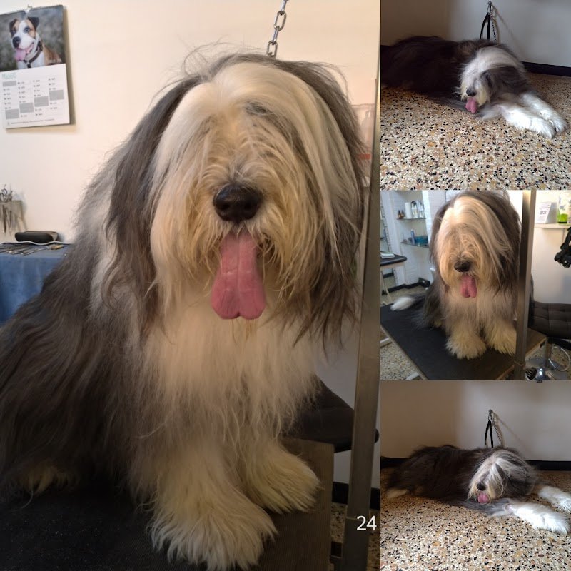 Bye bye pelo - Foto 3