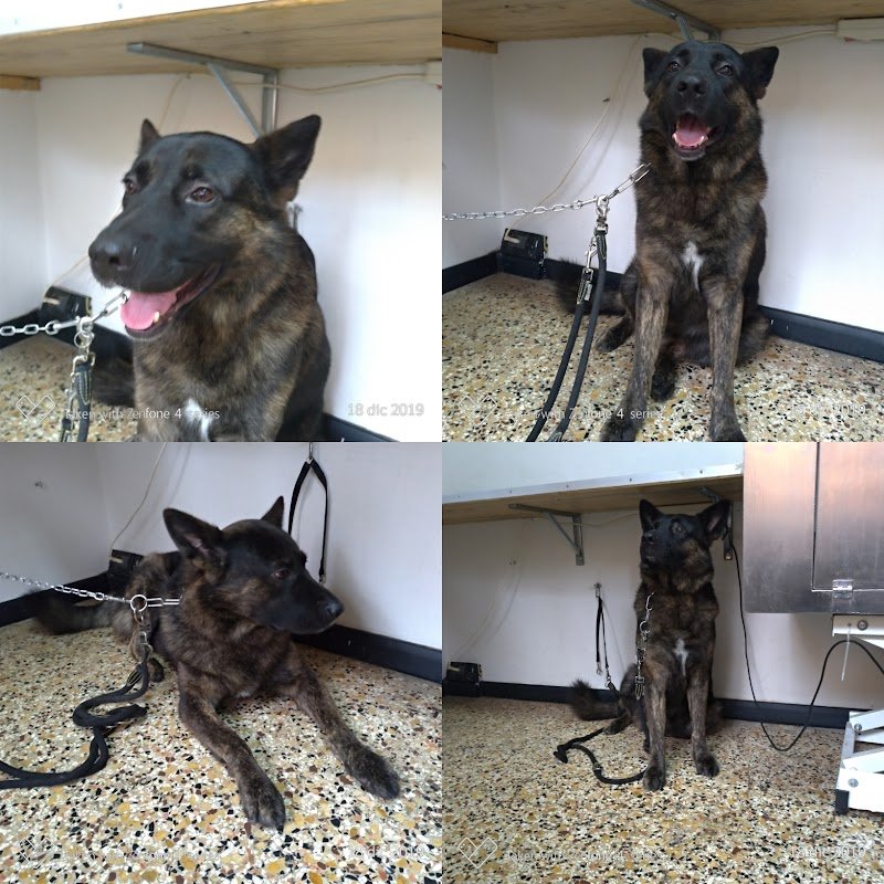 Bye bye pelo - Foto 5