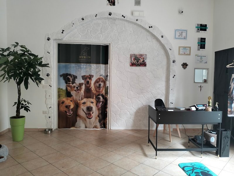 Byron Grooming salon | Toelettatura professionale a Gravina in Puglia - Foto 2