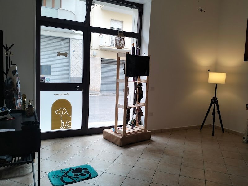 Byron Grooming salon | Toelettatura professionale a Gravina in Puglia - Foto 3