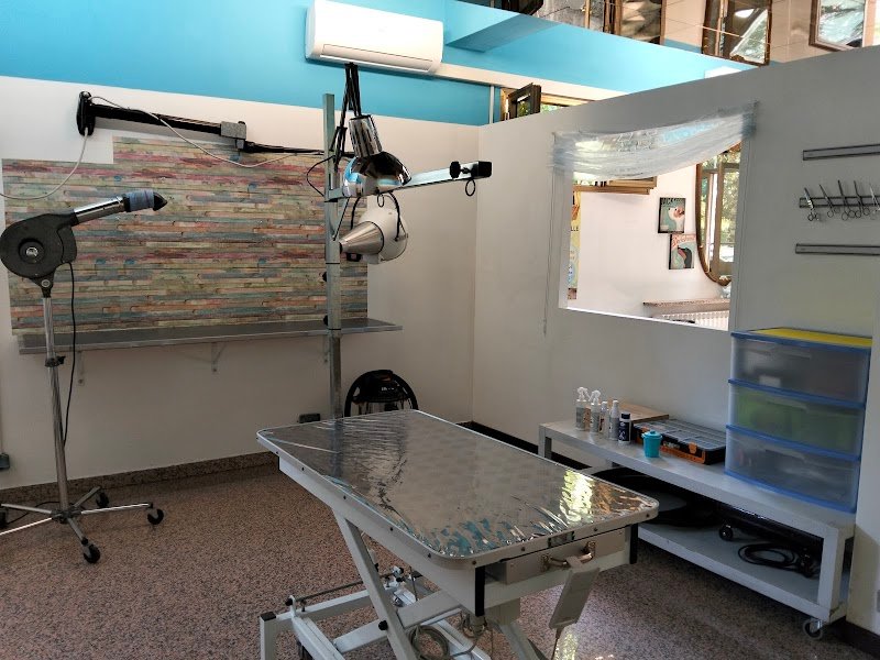 CAN CONTENTO - Foto 2