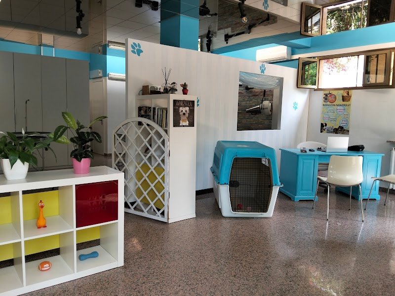 CAN CONTENTO - Foto 3