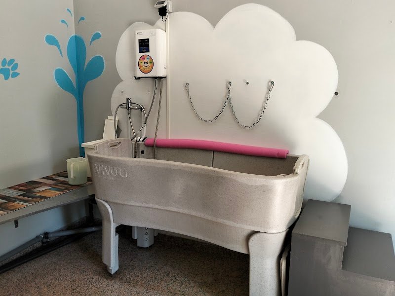 CAN CONTENTO - Foto 4