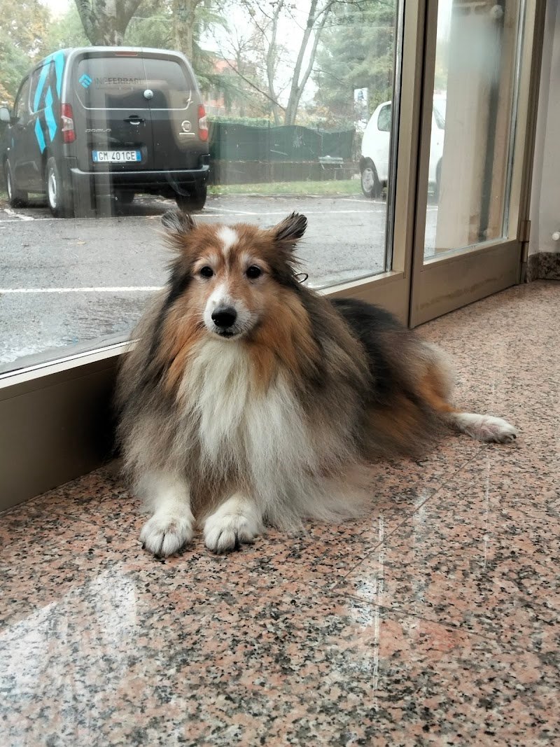 CAN CONTENTO - Foto 5