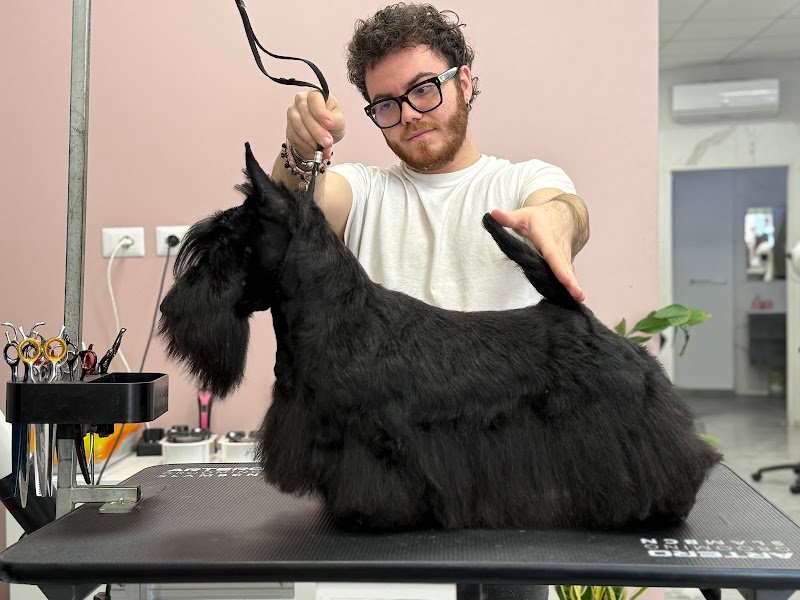 Can'é dogsalon - Foto 5