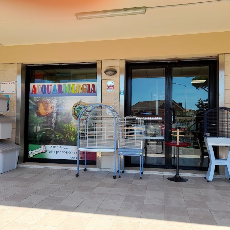 Cani e Gatti 2 - Foto 1