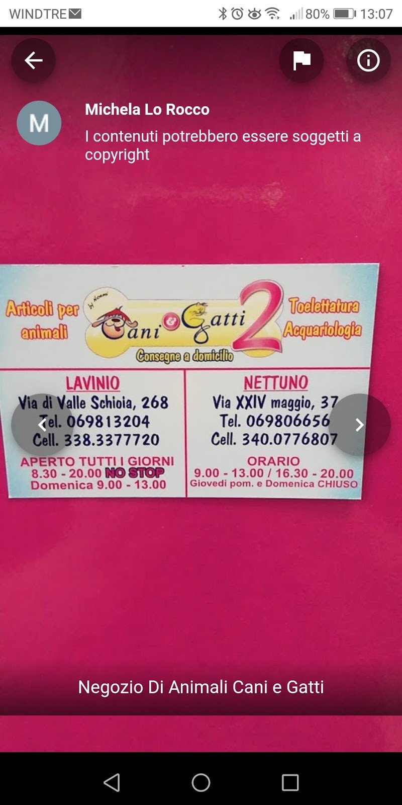 Cani e Gatti 2 - Foto 2