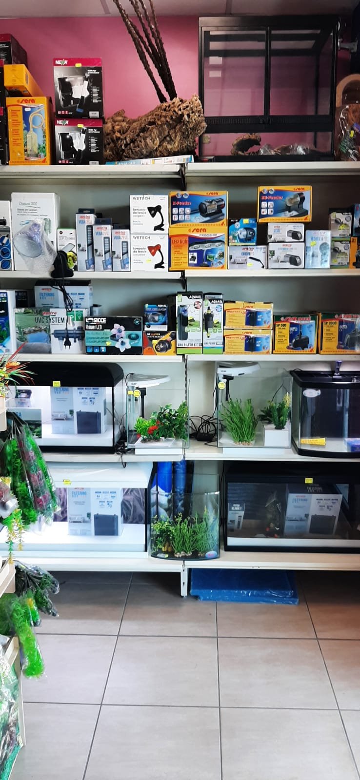 Cani e Gatti 2 - Foto 5