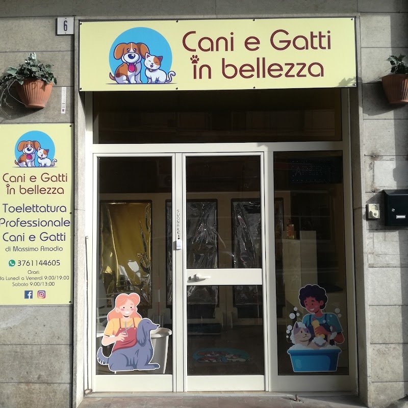 Cani e gatti in bellezza - Foto 4