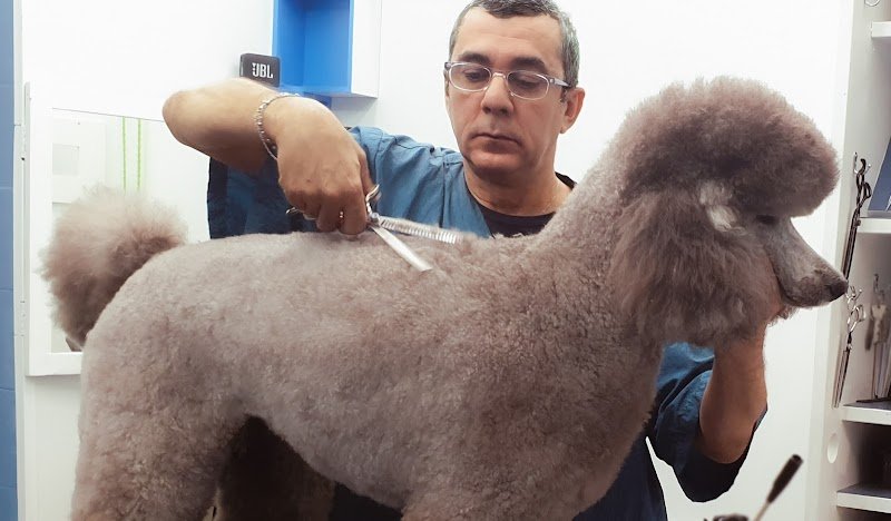 Cani e Gatti S.a.s di Maurizio Nilo Panepinto - Foto 1