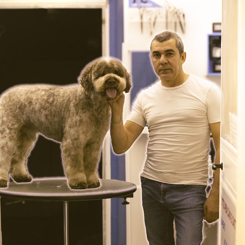 Cani e Gatti S.a.s di Maurizio Nilo Panepinto - Foto 6