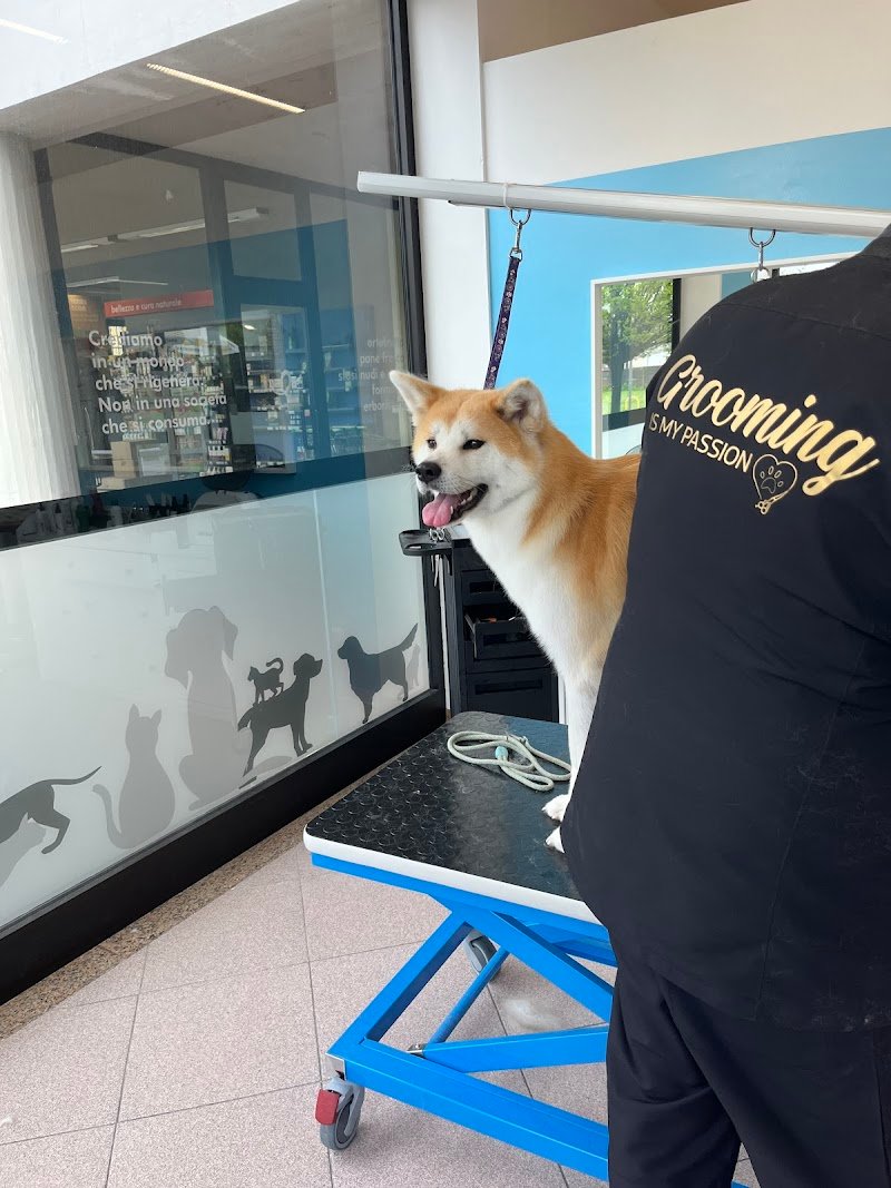 Cani e Gatti Spa Toelettatura - Foto 3