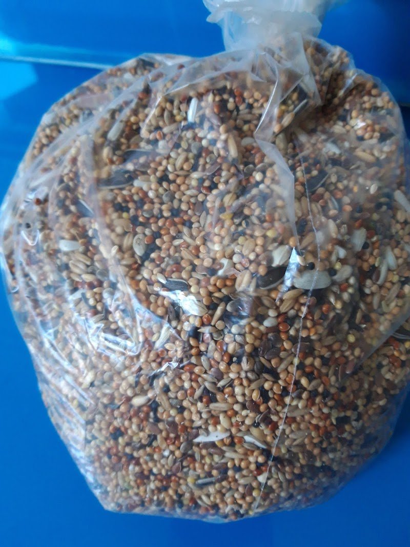 CANI, GATTI & COMPANY DI LIANA CASTELLANETA - Foto 3