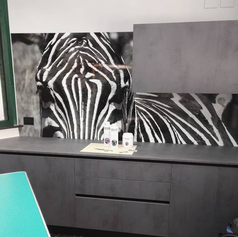 Canicola di Ferro Gloria - Foto 1